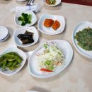 반야월회센타