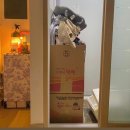 샐러드오 이미지