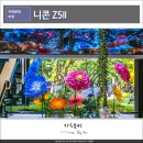 유튜브크리에이터-야간 | 니콘 Z5II 미러리스 카메라 추천 4K 유튜브카메라 가을 출사 후기
