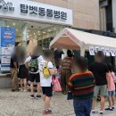 서리풀동물병원 이미지