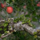 충청대학교 이미지