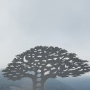 만성리길 이미지