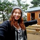 숲속의 작은집 이미지