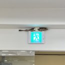 청춘유도관(서면점) 이미지