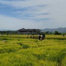 분황사 - 1658 | 분황사