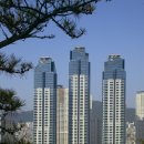 스타인테리어 이미지