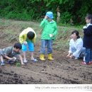 콩심는 아이