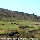 일석목장 이미지