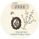 세탁예술가 이미지