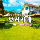 장춘교차로 ~ 공영교차로 방향 | ☀️보러카페·BORO CAFE☀️화순대형인기카페 보러카페! #화순카페 #화순대형카페 #화순인기카페 #화순...