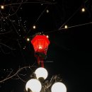 냠냠 맛있는 영어요리 | D+551~560 : 연어장 만들기 도전, 밴쿠버에서 발견한 포토이즘, 코워커 생일, 잘먹고 다닌 일상