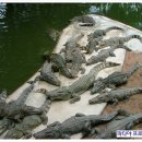 요동농장 이미지