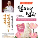 25년 6월 1일 일요일 원영스님 초청 법회 #반야선원 #범어사