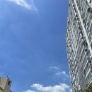 365울산누리팜 이미지