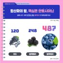스페셜유 | 스페셜유 블루베리로 건강한 디저트를 즐겨보세요!