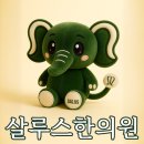 살루스한의원 네이버블로그