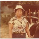 이수영농장 이미지