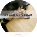 무유인(MUIN) 이미지