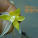 신아로 이미지