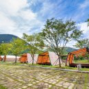 자양보오토캠핑장 이미지