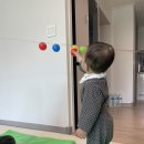 11650-17-38-6 | 히히호호 방문수업 후기(17개월부터 38개월까지, 스크롤주의)