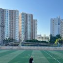 인덕축구경기장 네이버블로그