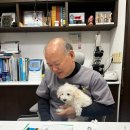 김수영 동물병원 이미지