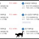 신용협동조합중앙회