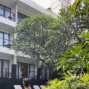 더문 호텔 이미지