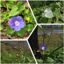 백의종군로 | [지리산둘레길 19코스(오미~난동)]서시천과 섬진강을 따라 산들녘을 바라보는 즐거움(&#39;24, 10/13)