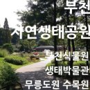 튼튼 유아숲체험원 이미지