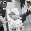 광주동물병원 이미지