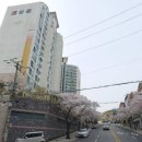 부산금정 구서쌍용아파트 네이버블로그