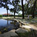 청운오토캠핑장 이미지