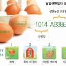 좋은계란 - 군산시 서수송안1길 12-1 | 좋은계란
