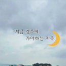 가고픈청보리 이미지