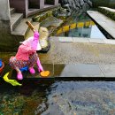 샛도리물 이미지