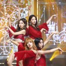 스텔라케이 이미지