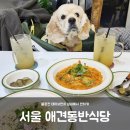 댕냥마트 이미지