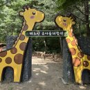 태조산 유아숲체험원, 천안 아이와 함께 가볼만한 곳