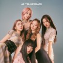 지니어스진