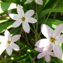 황금에너지 이미지