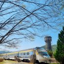 어슬렁대추정원 이미지