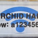 오키드헤어(orchid hair) 네이버블로그