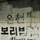 지산골온천 보리밥 이미지