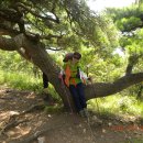 (주)지종 이미지