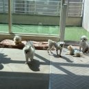 슈라즈하우스 이미지