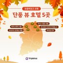 (주)트립비토즈 이미지