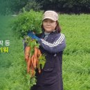 귤하우스 이미지