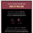 와우이벤트기획 이미지
